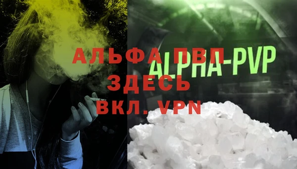 apvp Алзамай