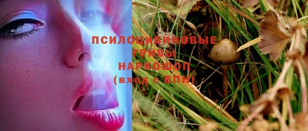 apvp Алзамай