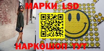 индика Долгопрудный