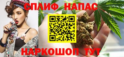 индика Долгопрудный