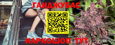 индика Долгопрудный