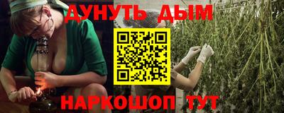 индика Долгопрудный