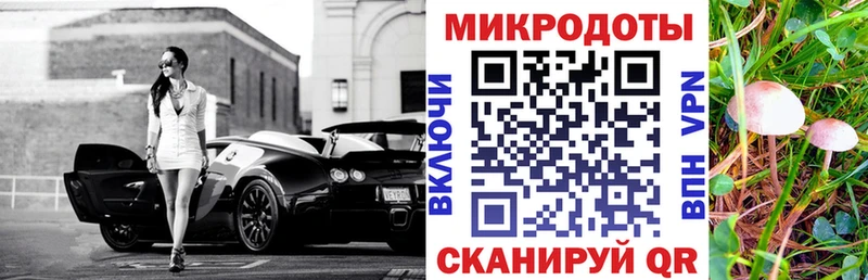 Галлюциногенные грибы Psilocybine cubensis  где купить наркоту  Карабулак 