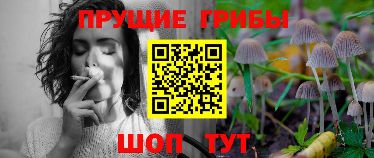 Карабулак  Галлюциногенные грибы мухоморы  Вход с VPN  Псилоцибиновые грибы мицелий 