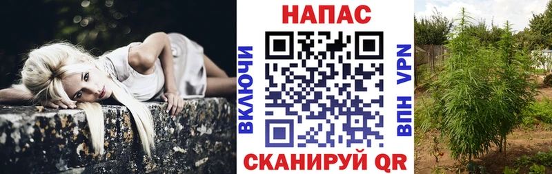 наркота  Карабулак  Конопля OG Kush 